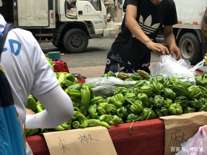 价格与品质如何选择 传统批发市场与专业平台的对比启示